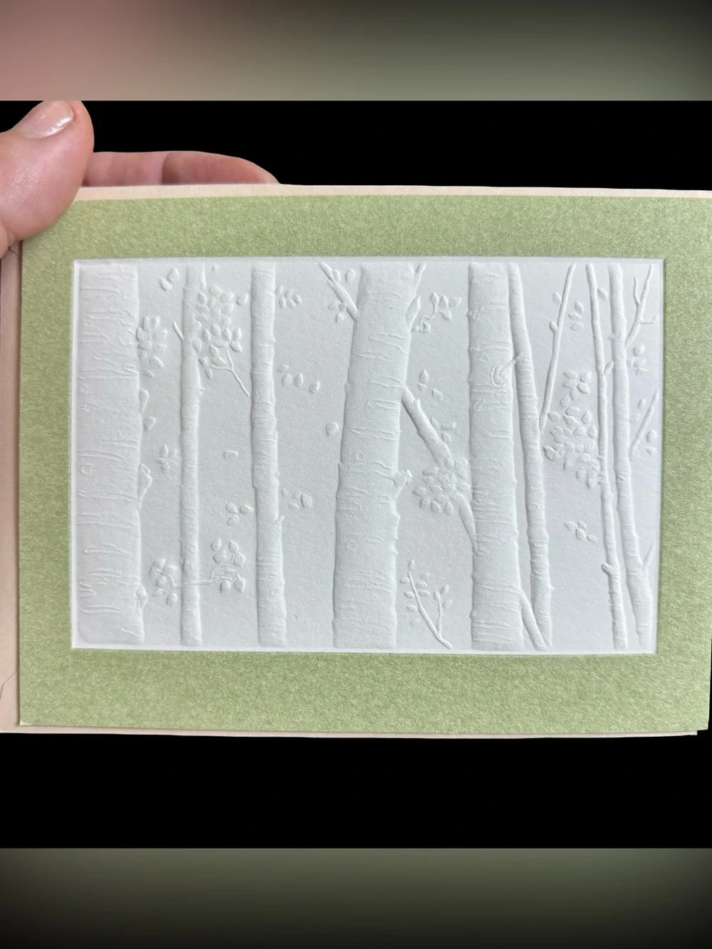 ~BUNDLE ONLY~3 VTG Current Inc Embossed Cards - Echos of the West Jay Johnson